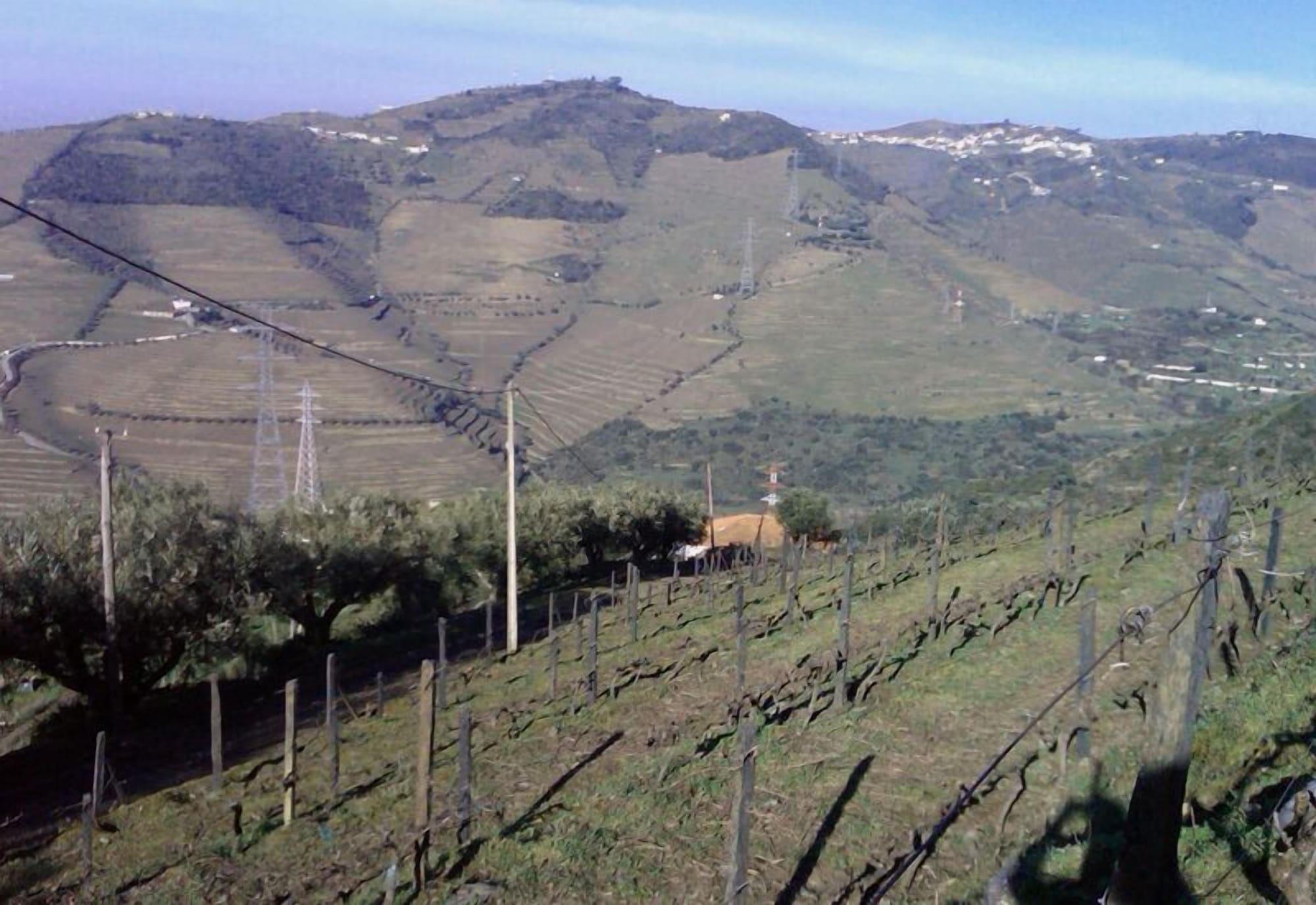 Quinta De Casaldronho Wine Hotel Lamego Eksteriør bilde