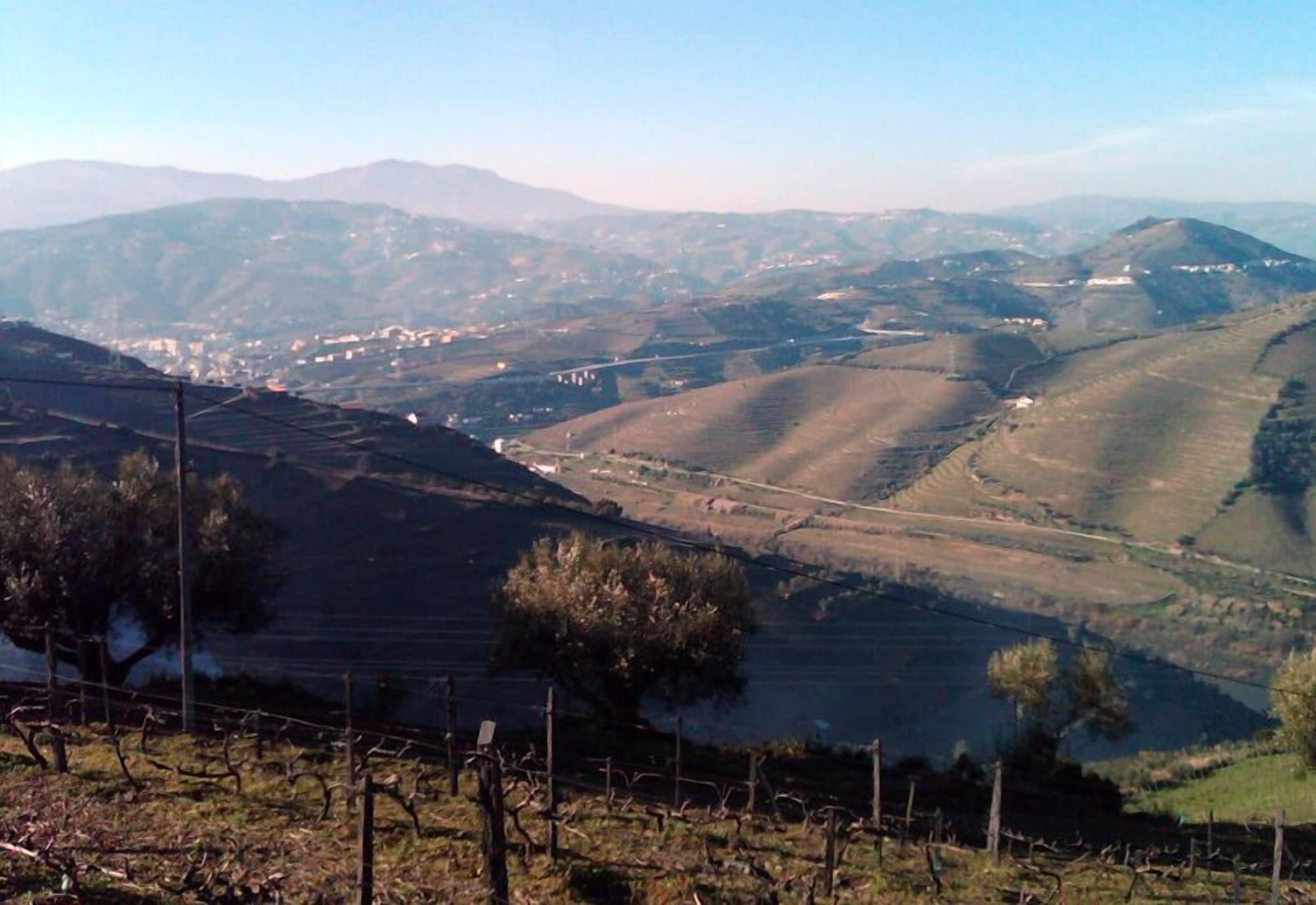 Quinta De Casaldronho Wine Hotel Lamego Eksteriør bilde